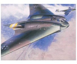 1:48 Ho229A-1 Flying Wing