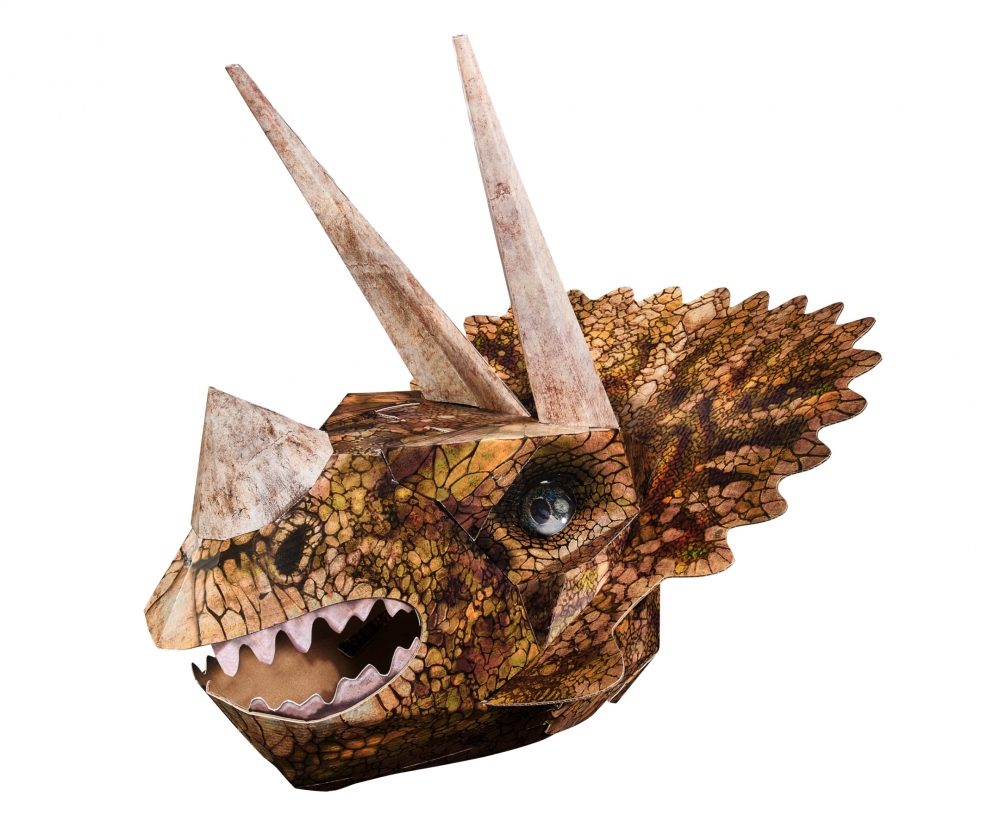 wild cards triceratops art fun creative themes shop