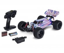 1:10 Race Dragon FE 2.4G 100% RTR carson 1:10 Race Dragon FE 2.4G 100% RTR