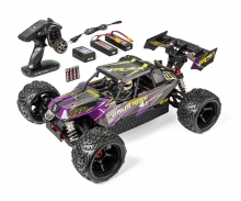 1:8 Virus Race 4.3 4S brushless 100% RTR lila carson 1:8 Virus Race 4.3 4S brushless 100% RTR lila
