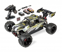 1:8 Virus Race 4.3 4S brushless 100% RTR weiß carson 1:8 Virus Race 4.3 4S brushless 100% RTR weiß