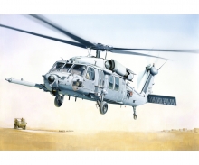 carson 1:48 MH-60K Blackhawk SOA