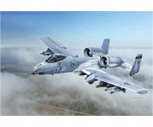 carson 1:48 A-10C "Blacksnakes"