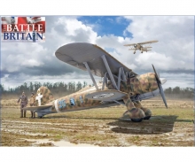 carson 1:48 FiatCR.42 "Battle of Britain 80thA."