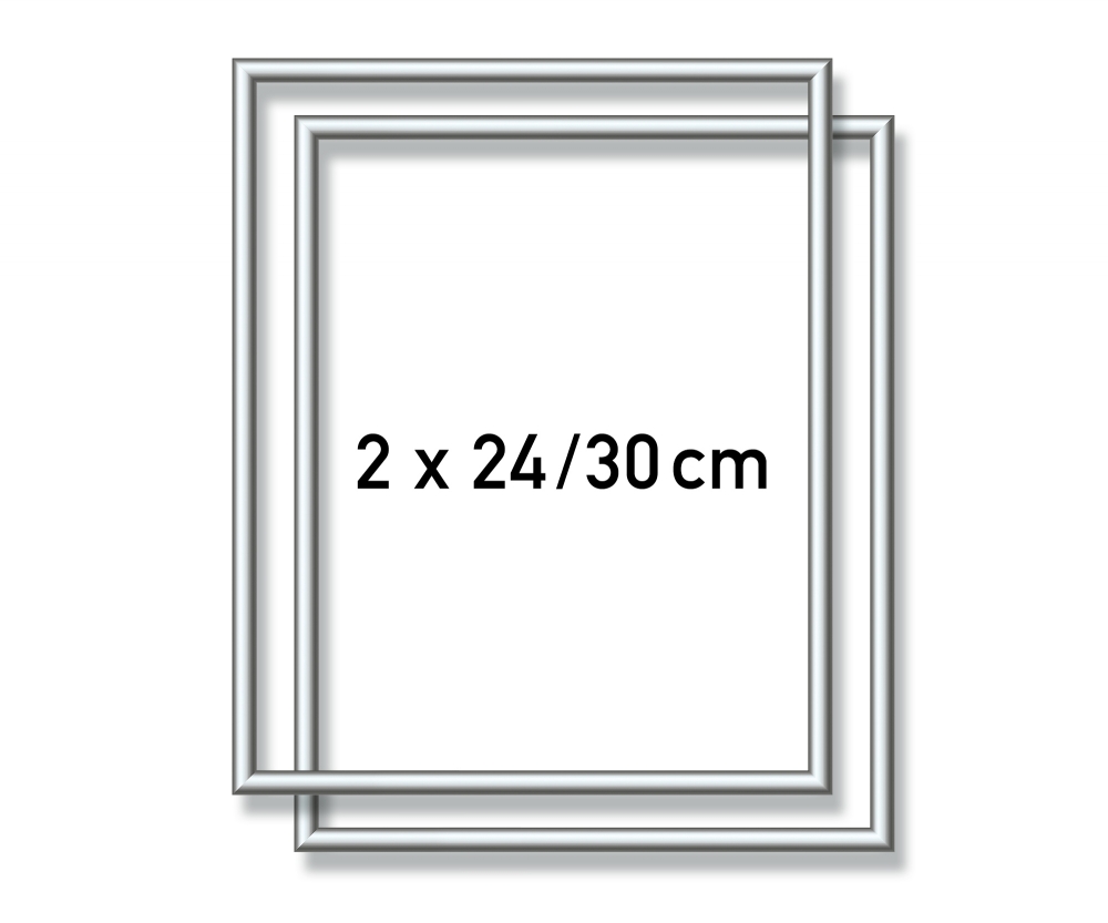 2 Cornici In Alluminio 24 X 30 Cm Argento Satinato Accessori Quadro Per Tema Www Malennachzahlen Schipper Com