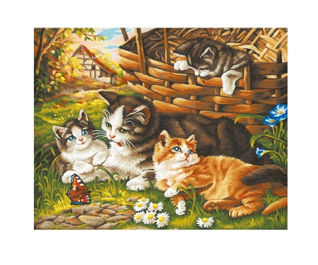 Katzenfamilie Malen Nach Zahlen Premium 40 X 50 Cm Bildformate Www Malennachzahlen Schipper Com