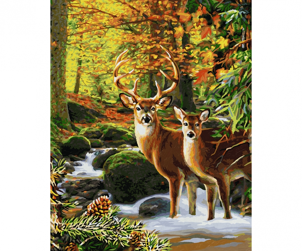 Herten in het bos - Premium 40 x 50 cm - Schilderij-formaten -  www.malennachzahlen-schipper.com