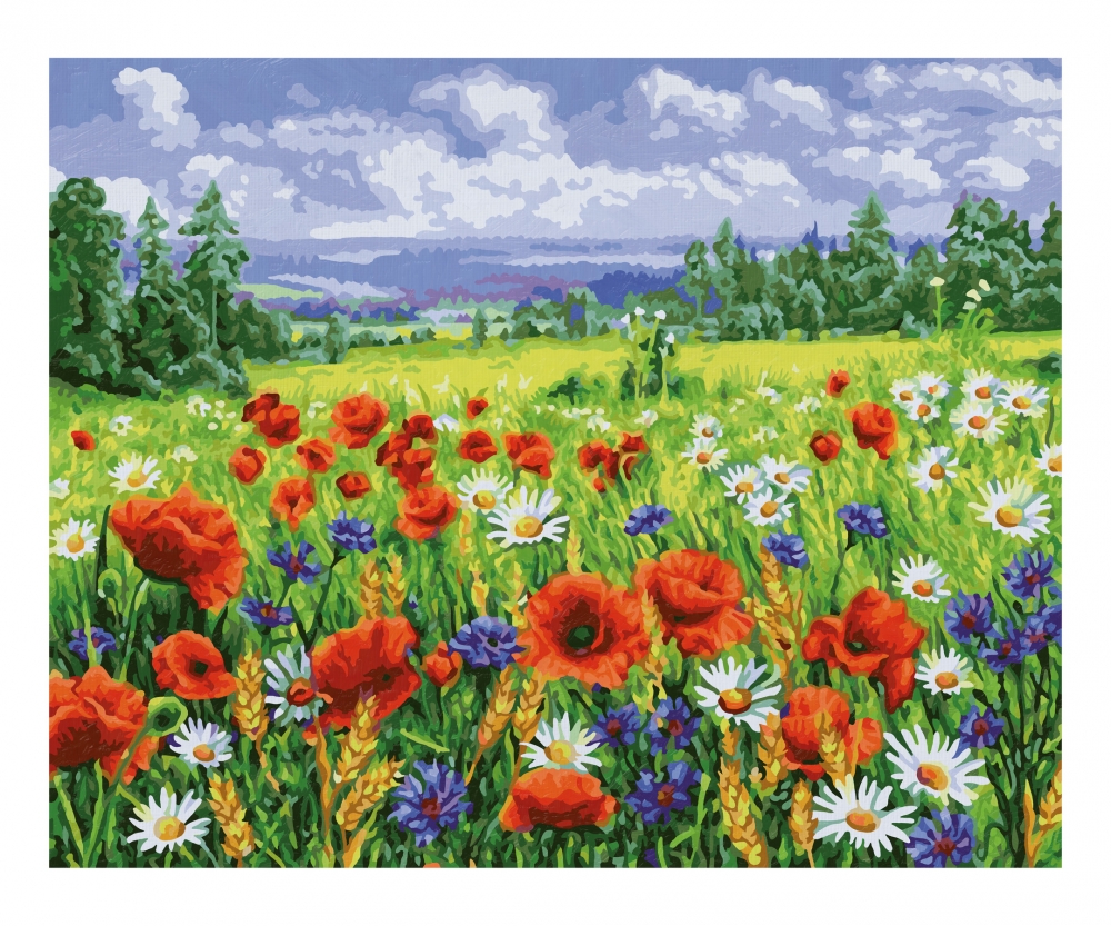 Blumenwiese Malen Nach Zahlen Blumen Und Pflanzen Malthemen Www Malennachzahlen Schipper Com