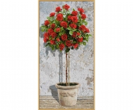 Web neu anmelden Web neu anmelden