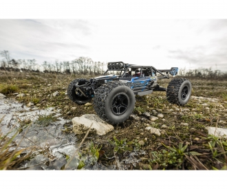 Buy 1 8 King of Dirt Buggy V25 GP RTR online Carson