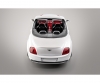 1:14 Bentley Continental Supersports ISR 2.4G 100%RTR