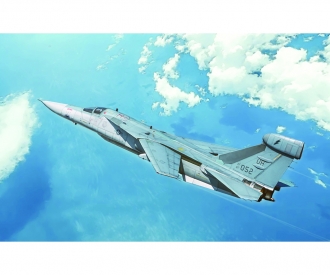 1:72 EF-111 A Raven