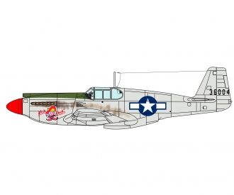 1:72 US P-51A Mustang