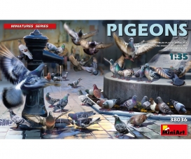 1:35 Fig. Pigeons (36)