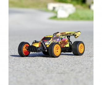 RC Dune Stinger, RTR