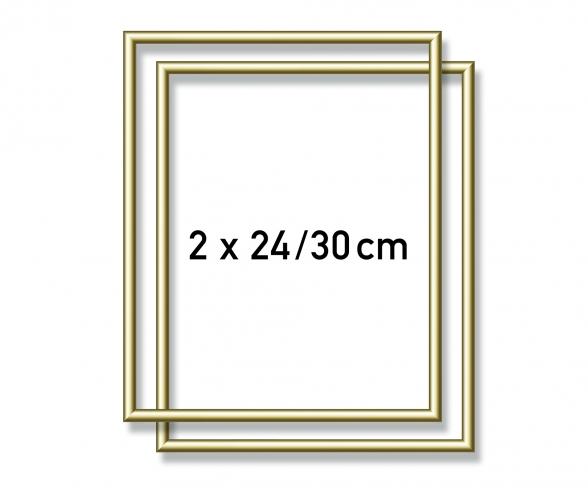 2 Aluminium frames 24 x 30 cm