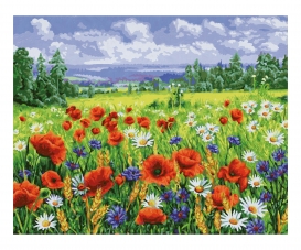 Wildflower meadow - painting by numbers
