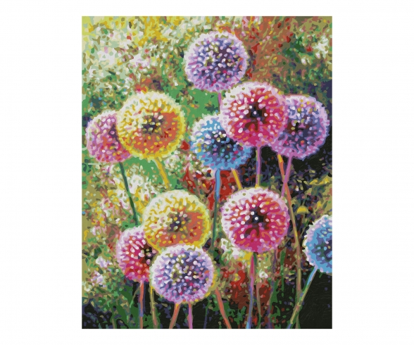 Buy Flower fireworks online painting numbers | - Schipper by