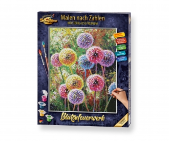 Flower fireworks - painting by numbers