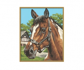Portrait de cheval - peinture par numéros