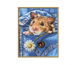 Golden hamster - painting by numbers