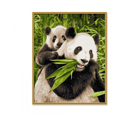Pandas - painting by numbers