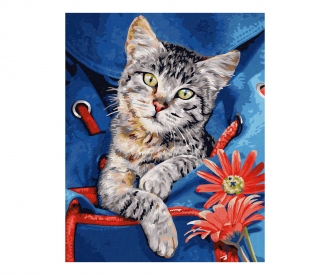 Cat in a backpack - painting by numbers
