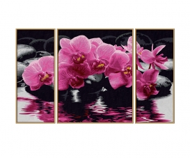 Orchidées - peinture par numéros