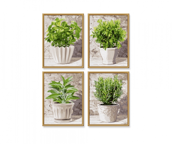 Buy Culinary Herbs - painting online numbers Schipper by 