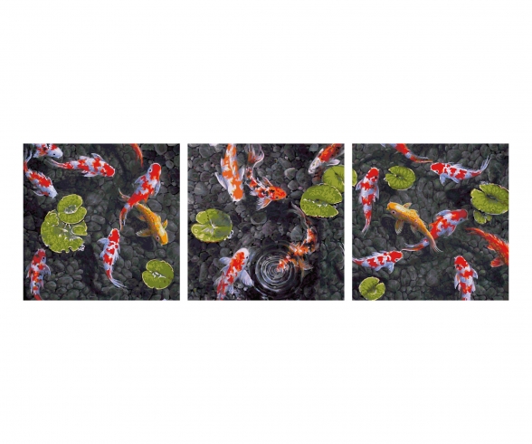 Koi - gems in the fish pond - painting by numbers