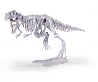 Dino Skeleton Excavation Set, 3ass.