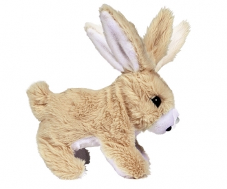 CCL Petit Lapin