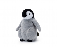Nat Geo - Emperor Penguin Chick