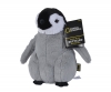 Nat Geo - Emperor Penguin Chick