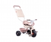 Be Fun Confort Tricycle Rose