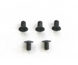 3x5mm Flachkopf/Kreuz. Schrauben (5)